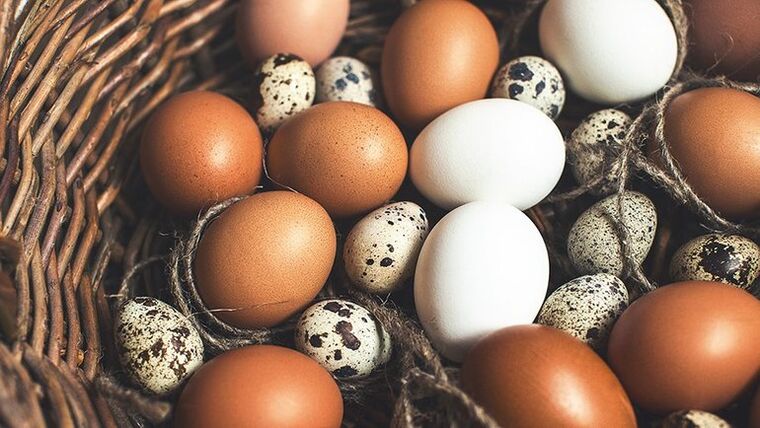 تخم بلدرچین و مرغ باید به رژیم غذایی مردان اضافه شود تا قدرت آن حفظ شود. 