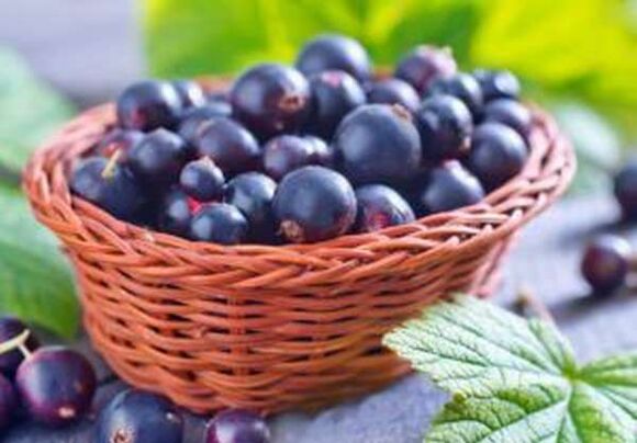 ویتامین های گروه C